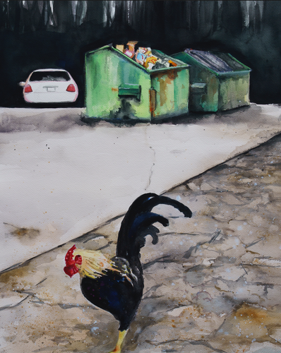 rectangle shape, rooster moving forward in foreground, two full green dumpsters in background, the trunk view of a white car and trees on horizon 